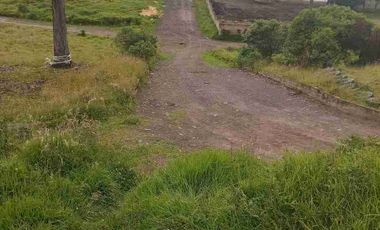 Se vende 11.5 Hectáreas en el centro de Tulcan Carchi Ecuador URBANAS