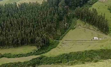 se vende 10 hectáreas con una pequeña casa a la vía Asfaltada en Cayambe Pichincha Ecuador abundante agua de riego