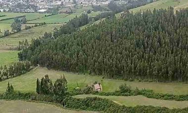 se vende 10 hectáreas con una pequeña casa a la vía Asfaltada en Cayambe Pichincha Ecuador abundante agua de riego