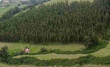 se vende 10 hectáreas con una pequeña casa a la vía Asfaltada en Cayambe Pichincha Ecuador abundante agua de riego
