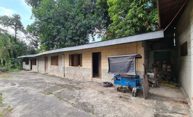 Resort-Style Lot for Sale – With Cottages, Mango Trees & Pool