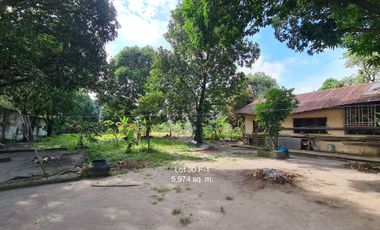 Resort-Style Lot for Sale – With Cottages, Mango Trees & Pool