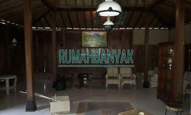 Jual Rumah Limasan Tradisional Di Ngaglik Cocok Untuk Studio Foto Dekat PPPG Kesenian & UII