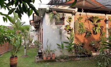 DIJUAL – Rumah + Tanah Luas di Area Mantrijeron, Yogyakarta (Potensi Tinggi!)
