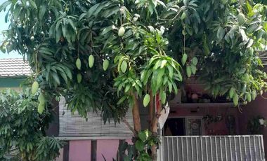 jual murah rumah di pndan wangi Diwek  kota Jombang