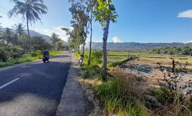 Tanah sawah view menoreh pinggir jalan raya dkt dg resto,out bond, pasar dan fasum fasos Lokasi  banjarasri kalibawang.JK4007