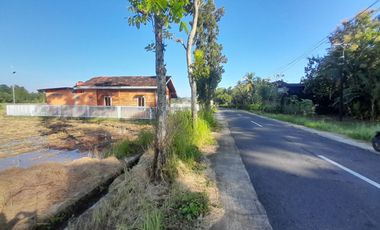 Tanah sawah view menoreh pinggir jalan raya dkt dg resto,out bond, pasar dan fasum fasos Lokasi  banjarasri kalibawang.JK4007