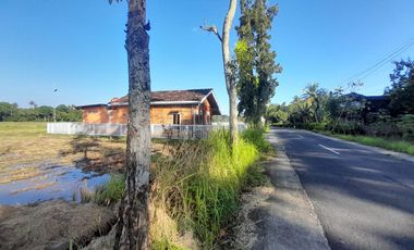 Tanah sawah view menoreh pinggir jalan raya dkt dg resto,out bond, pasar dan fasum fasos Lokasi  banjarasri kalibawang.JK4007