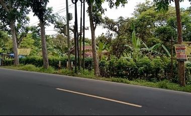 DI BAWAH NJOP! LAHAN 1.7 HA RANGKASBITUNG – PINGGIR JALAN PROVINSI – AKSES KONTAINER 40FT