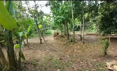 DI BAWAH NJOP! LAHAN 1.7 HA RANGKASBITUNG – PINGGIR JALAN PROVINSI – AKSES KONTAINER 40FT