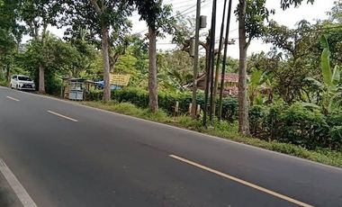 DI BAWAH NJOP! LAHAN 1.7 HA RANGKASBITUNG – PINGGIR JALAN PROVINSI – AKSES KONTAINER 40FT