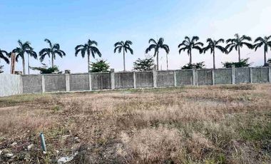 Venta Terreno Punta Barranca Nuevo Samborondón