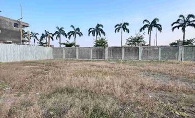 Venta Terreno Punta Barranca Nuevo Samborondón