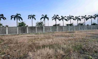 Venta Terreno Punta Barranca Nuevo Samborondón
