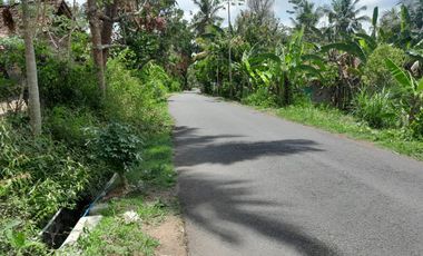 Tanah sawah berwujud pekarangan View menoreh /Paralayang Giri sembung Lokasi Pinggir jln raya Boro-Samigaluh,Banjarasri Kalibawang,Kulon Progo.JK4010