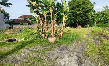 Jual Tanah 160meter Lokasi Jl Pura Demak Hadap Selatan area Strategis & Tidak Banjir Hadap Selatan & Zona Kuning
