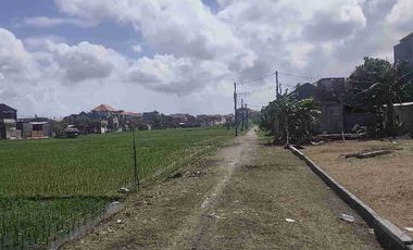 Jual Tanah 160meter Lokasi Jl Pura Demak Hadap Selatan area Strategis & Tidak Banjir Hadap Selatan & Zona Kuning