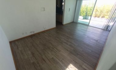 DEPARTAMENTO EN RENTA EN ALFONSO XIII TIPO LOFT