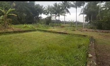Tanah kapling di barat Pasar Butuh Jln Raya Sentolo -Brosot Siap Balik Nama.jk4013