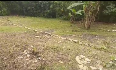Tanah kapling di barat Pasar Butuh Jln Raya Sentolo -Brosot Siap Balik Nama.jk4013