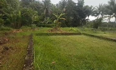 Tanah kapling di barat Pasar Butuh Jln Raya Sentolo -Brosot Siap Balik Nama.jk4013