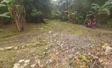Tanah kapling di barat Pasar Butuh Jln Raya Sentolo -Brosot Siap Balik Nama.jk4013