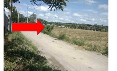 Residential Lot for sale in Burgundy Homes, San Jose Patag, Santa Maria, Bulacan
