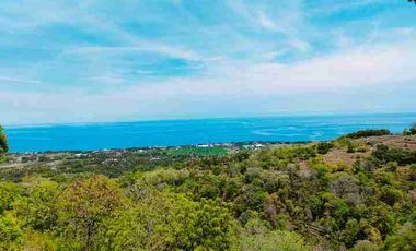 Disewakan Private Villa 2 Lantai di Desa Cempaga Buleleng Lovina Bali
