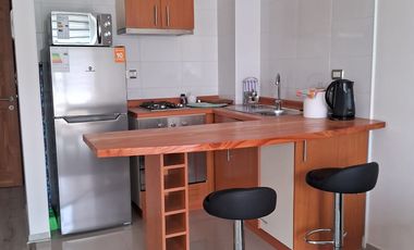 Arriendo Año corrido depto en Cond. Parque Pucón Oriente
