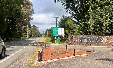 Parcela En Condominio Los Avellanos