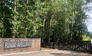 Parcela En Condominio Los Avellanos