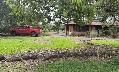 Se Vende Finca  en Loreto Provincia de Orellana  8.8480  Hectáreas de Superficie Total con Producción de Cacao