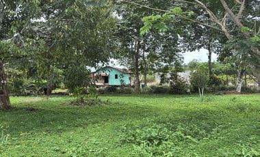 Se Vende Finca  en Loreto Provincia de Orellana  8.8480  Hectáreas de Superficie Total con Producción de Cacao
