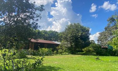 Se Vende Finca  en Loreto Provincia de Orellana  8.8480  Hectáreas de Superficie Total con Producción de Cacao