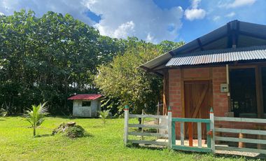 Se Vende Finca  en Loreto Provincia de Orellana  8.8480  Hectáreas de Superficie Total con Producción de Cacao