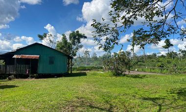 Se Vende Finca  en Loreto Provincia de Orellana  8.8480  Hectáreas de Superficie Total con Producción de Cacao