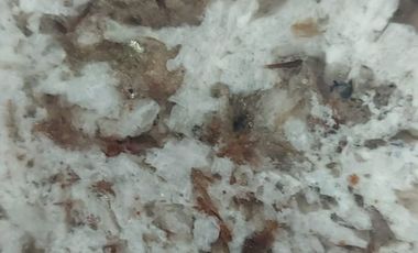 Hermosa residencia en Bugambilias