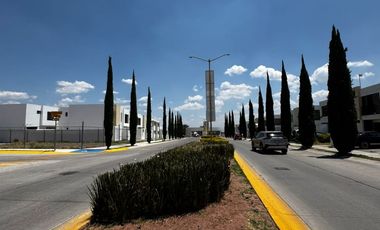 CASA EN RENTA AL NORTE DE AGUASCALIENTES FRACC. LA CARTUJA