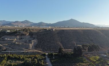 VENTA PARCELA ALFALFARES