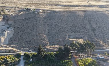 VENTA PARCELA ALFALFARES