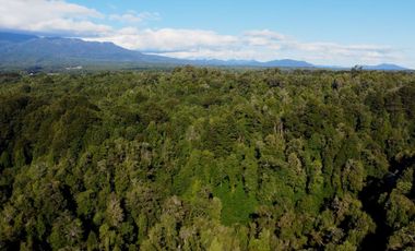 Campo en venta en Puerto Varas con vista al Lago Llanquihue