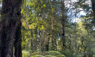 Campo en venta en Puerto Varas con vista al Lago Llanquihue