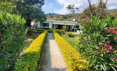 Departamento en renta en Tepoztlán Morelos