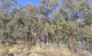 SE ALQUILA HERMOSO DEPARTAMENTO EN LA CIUDAD DE QUITO