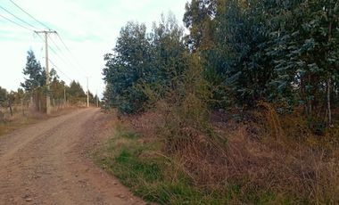 Se Vende Parcela En San Nicolás A 15 Minutos De Chillán