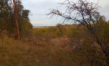 Se Vende Parcela En San Nicolás A 15 Minutos De Chillán