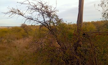 Se Vende Parcela En San Nicolás A 15 Minutos De Chillán