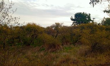 Se Vende Parcela En San Nicolás A 15 Minutos De Chillán