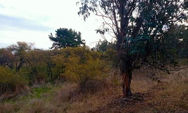 Se Vende Parcela En San Nicolás A 15 Minutos De Chillán