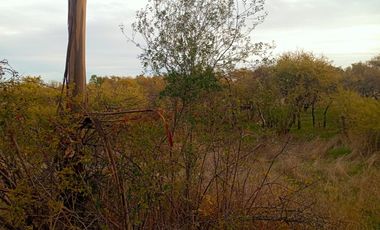 Se Vende Parcela En San Nicolás A 15 Minutos De Chillán